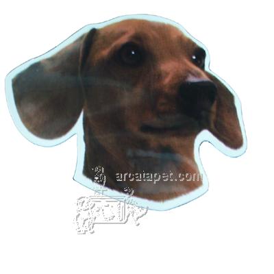 Vinyl Dog Magnet with Dachshund Small