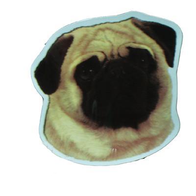 Vinyl Dog Magnet with Pug Small