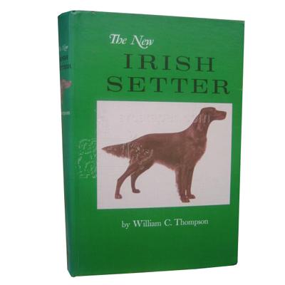 Irish Setter New Irish Setter New