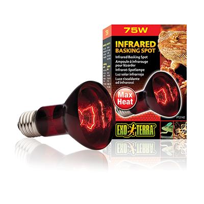 Infrared Heat Lamps on Infrared Heat Bulb Et 75 Watt  Now A New Economical Infrared Heat Lamp
