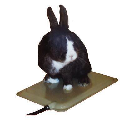 Lectro Small Animal Heated Pad Lectro Small Animal Heated Pad