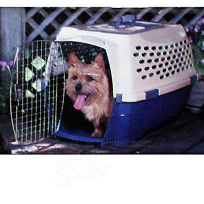 Doskocil Kennel Cab Fashion 26x18x16 Pet Carrier Doskocil Kennel Cab Fashion 26x18x16 Pet Carrier