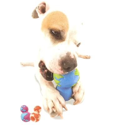 Planet Dog Orbee-Tuff Orbo Medium Assorted Color