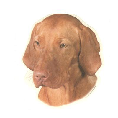 Double Sided Dog Decal Vizsla Double Sided Dog Decal Vizsla