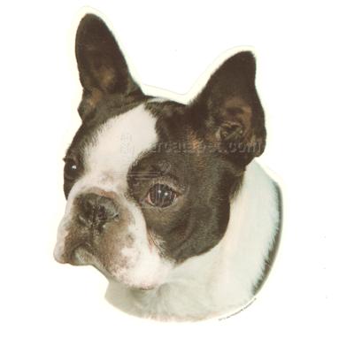 Double Sided Dog Decal Boston Terrier Double Sided Dog Decal Boston Terrier