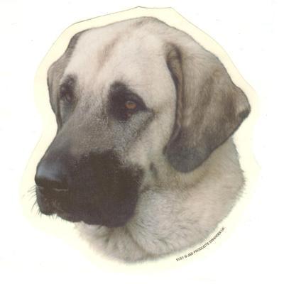 Double Sided Dog Decal Anatolian Shepherd Double Sided Dog Decal Anatolian Shepherd