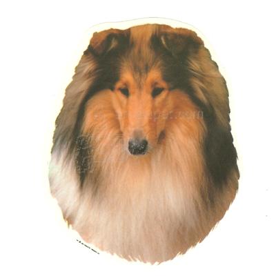 Double Sided Dog Decal Collie Double Sided Dog Decal Collie