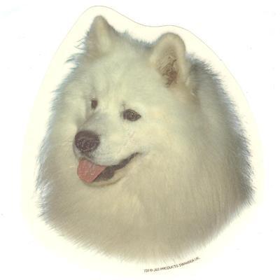 Double Sided Dog Decal Samoyed Double Sided Dog Decal Samoyed