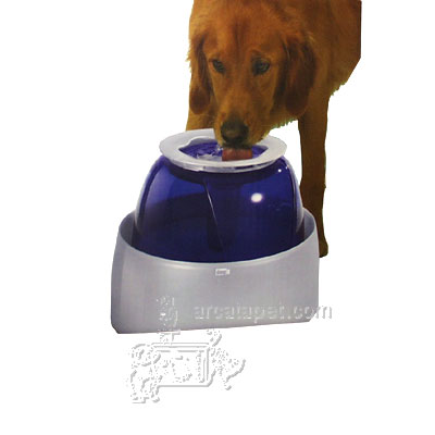 Mastiff water bowl on sale