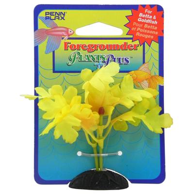 Saragassum Foregrounder Silk Aquarium Plant Saragassum Foregrounder Silk Aquarium Plant