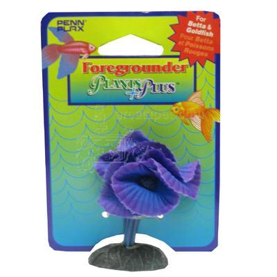 Acetabularia Foregrounder Silk Aquarium Plant Acetabularia Foregrounder Silk Aquarium Plant