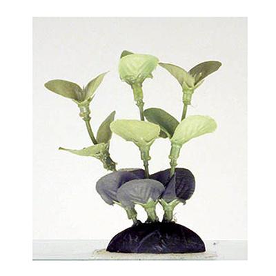Ammania Foregrounder Silk Aquarium Plant Ammania Foregrounder Silk Aquarium Plant