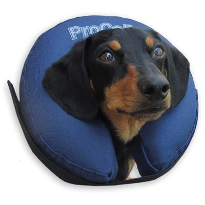 elizabethan collar for dogs elizabethan collar elizabethan collar for dogs elizabethan collar