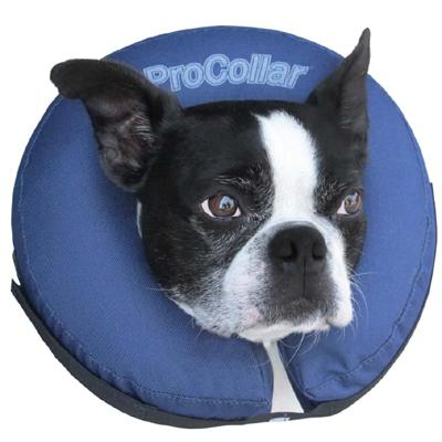 ProCollar Inflatable Elizabethan Collar Medium ProCollar Inflatable Elizabethan Collar Medium