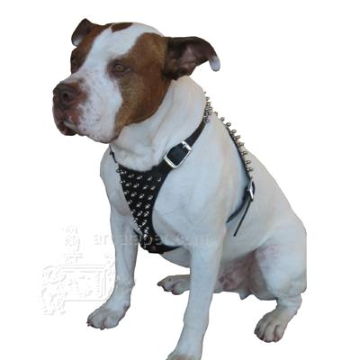Black Spiked Leather Dog Harness 1x38 inches Black Spiked Leather Dog Harness 1x38 inches