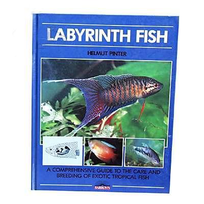 Labyrinth Fish Hardcover Book Labyrinth Fish Hardcover Book