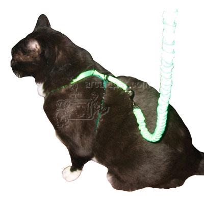 Come With Me Kitty Harness & Bungee Leash Lime Sm Come With Me Kitty Harness & Bungee Leash Lime Sm