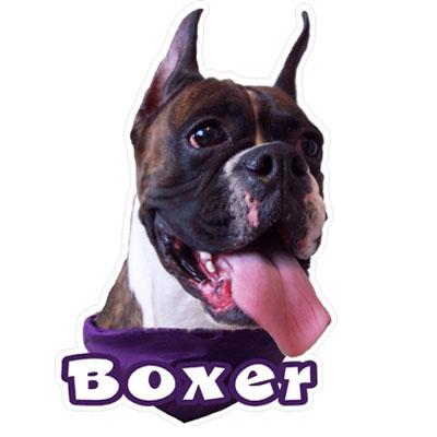 6-inch Vinyl Dog Decal Boxer Brindle Picture