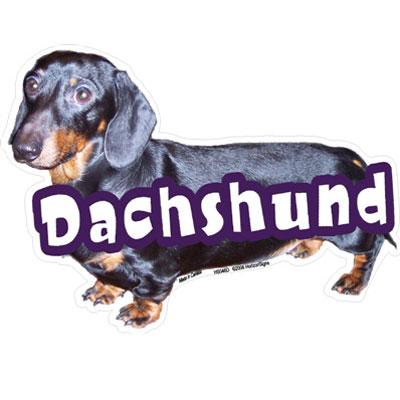 6-inch Vinyl Dog Decal Dachshund Black/Tan Picture