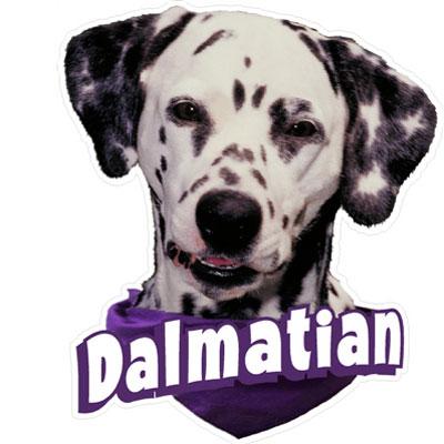 6-inch Vinyl Dog Decal Dalmatian Picture