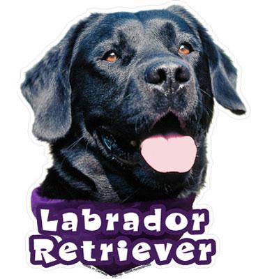 6-inch Vinyl Dog Decal Black Labrador Retriever Picture