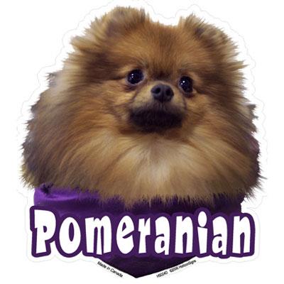 pomeranian supplies 6 inch vinyl decal pomeranian picture gift assorted at arcata pet supplies pomeranian supplies 6 inch vinyl decal pomeranian picture gift assorted at arcata pet supplies