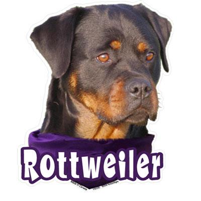6-inch Vinyl Dog Decal Rottweiler Picture