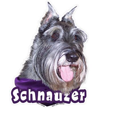 6-inch Vinyl Dog Decal Schnauzer Cropped Ears Picture