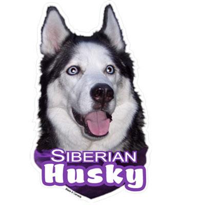 6-inch Vinyl Dog Decal Siberian Husky Picture