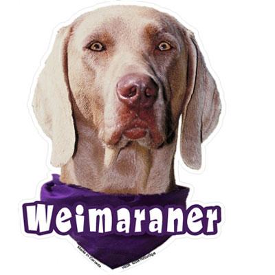 6-inch Vinyl Dog Decal Weimaraner Picture