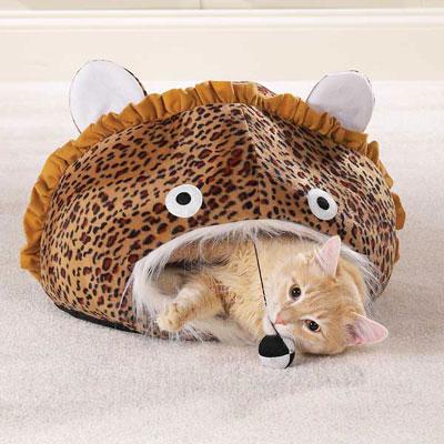 Meowtown King of the Jungle Cat Cave Meowtown King of the Jungle Cat Cave