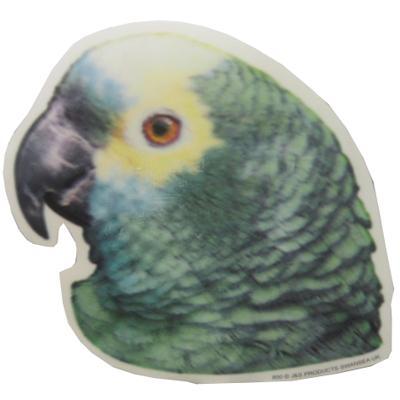 Double Sided Decal Blue Fronted Amazon Parrot Double Sided Decal Blue Fronted Amazon Parrot