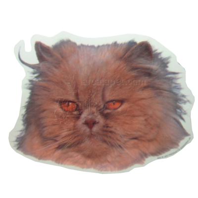 Double Sided Cat Decal Persian Brown Double Sided Cat Decal Persian Brown