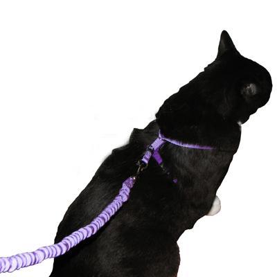 Come With Me Kitty Harness & Bungee Leash Medium Lilac Come With Me Kitty Harness & Bungee Leash Medium Lilac