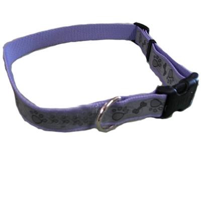 Lazer Brite PawBone Dog Collar Large Reflective Lazer Brite PawBone Dog Collar Large Reflective