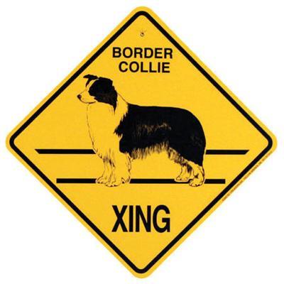 Xing Sign Border Collie Plastic 10.5 x 10.5 inches Xing Sign Border Collie Plastic 10.5 x 10.5 inches