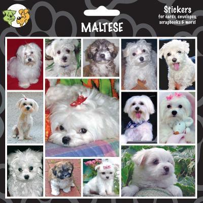 Arf Art Dog Sticker Pack Maltese Arf Art Dog Sticker Pack Maltese