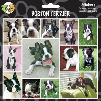 Arf Art Dog Sticker Pack Boston Terrier Arf Art Dog Sticker Pack Boston Terrier