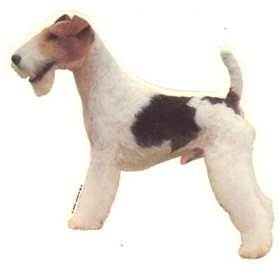 Double Sided Dog Decal Fox Terrier Standing Double Sided Dog Decal Fox Terrier Standing