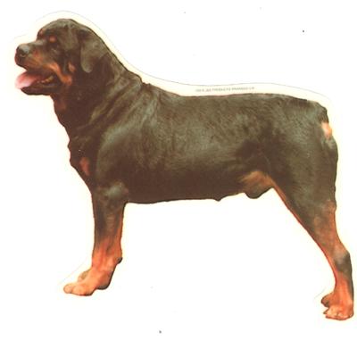 Double Sided Dog Decal Rottweiler Standing Double Sided Dog Decal Rottweiler Standing