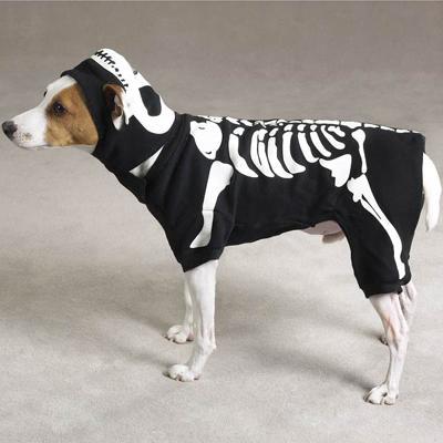 Dog Costume Glow Bones Medium Dog Costume Glow Bones Medium