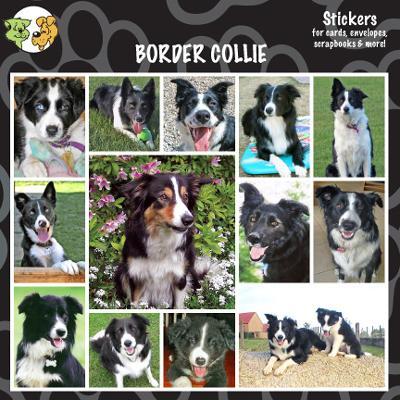 Arf Art Dog Sticker Pack Border Collie Arf Art Dog Sticker Pack Border Collie