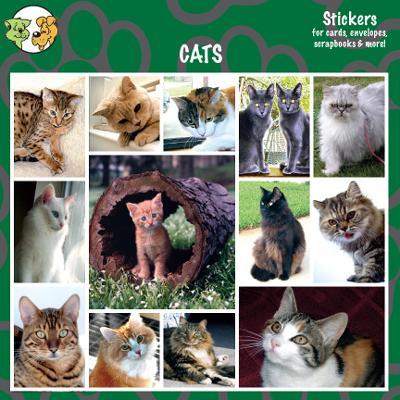 Arf Art Pet Sticker Pack Cats Arf Art Pet Sticker Pack Cats