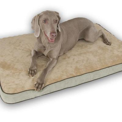 Beds Memory Foam on Memory Foam Dog Bed Sage Medium Dog Beds