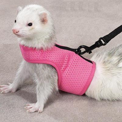 Biddie Buddies Ferret Harness & Lead Pink Large Biddie Buddies Ferret Harness & Lead Pink Large