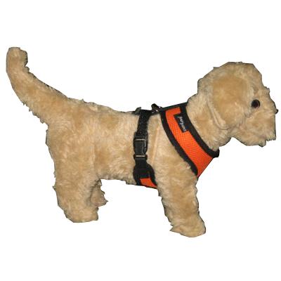 Comfort Control Dog Harness Orange Small Comfort Control Dog Harness Orange Small