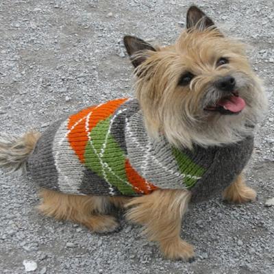 Handmade Dog Sweater Wool Trendy Boy XXLarge Handmade Dog Sweater Wool Trendy Boy XXLarge