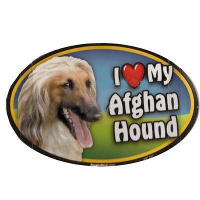 Dog Breed Image Magnet Oval Afghan Hound