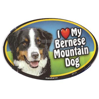 Dog Breed Image Magnet Oval Bernese Mountain Dog