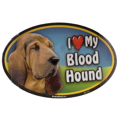 Dog Breed Image Magnet Oval Blood Hound